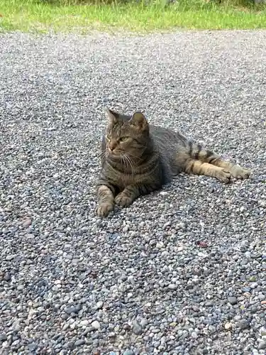 熱田神宮(愛知県)