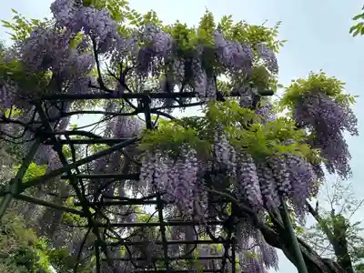 清宝院(東京都)