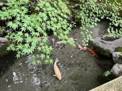 光明寺瑠璃光院(京都府)