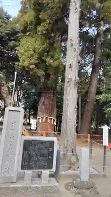 息栖神社のその他建物
