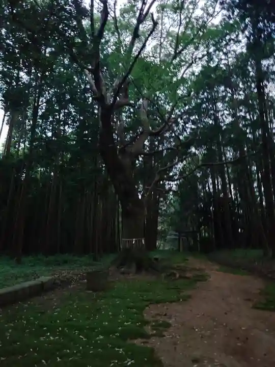 六嶽神社(下社)(福岡県)