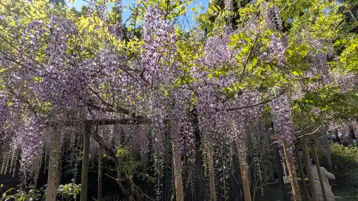 歌泉堂(春日大社神苑萬葉植物園内鎮座)(奈良県)