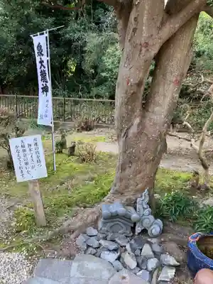 宝寿院の自然