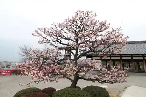 中山寺の庭園