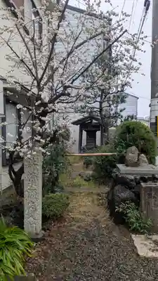 善念寺(京都府)