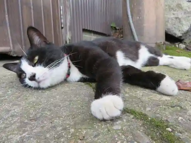 智恩寺(京都府)