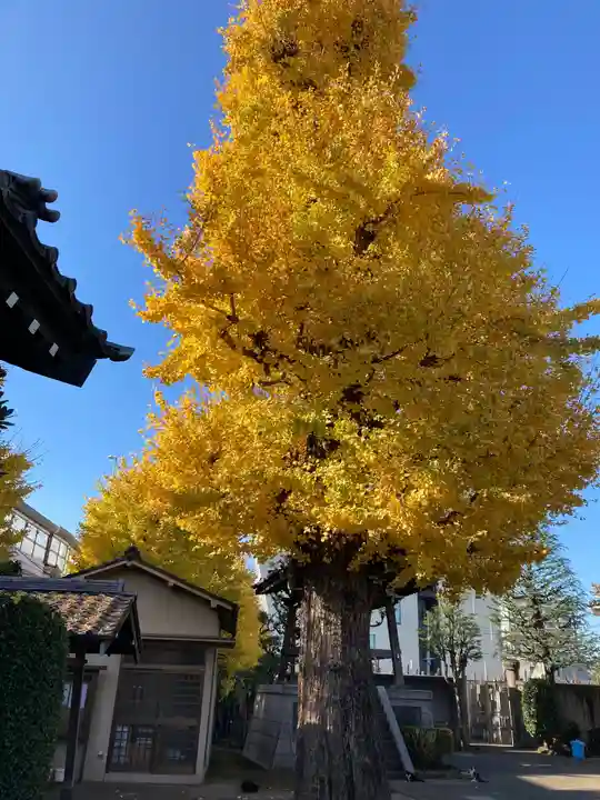 重林寺のその他建物
