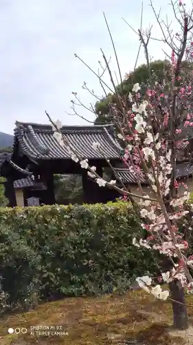 隨心院（随心院）の山門・神門