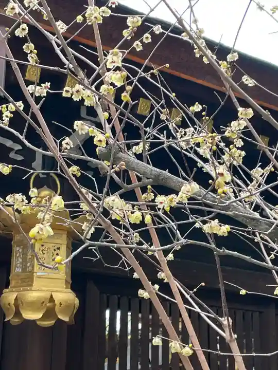 北野天満宮(京都府)