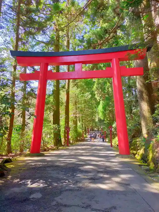 箱根神社(神奈川県)