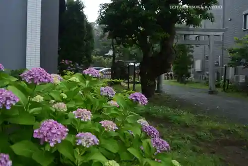 琵琶島神社(神奈川県)