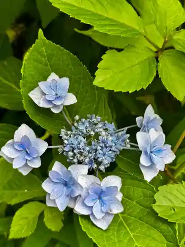 涌谷神社(宮城県)