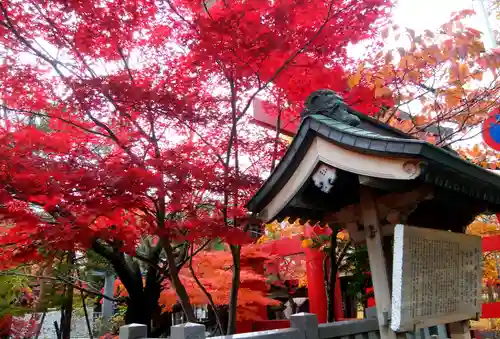 彌彦神社　(伊夜日子神社)の自然