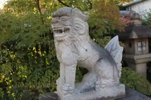 晴明神社の狛犬