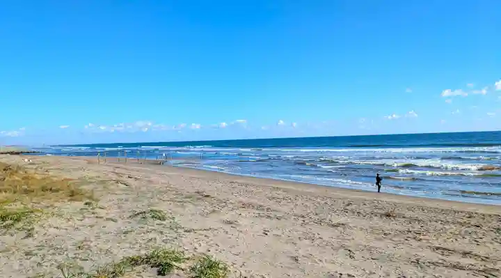 白子神社(千葉県)