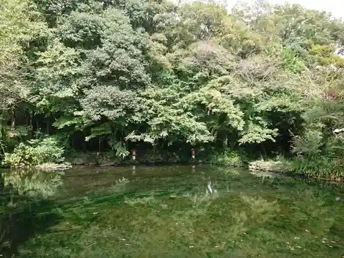 富士山本宮浅間大社の庭園