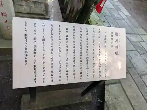 大杉神社(茨城県)