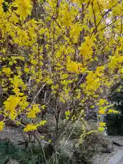 氷上神社の自然