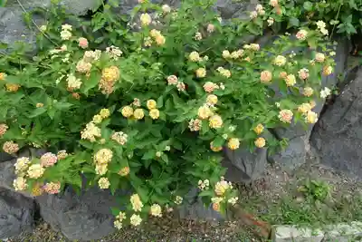 三輪神社の自然