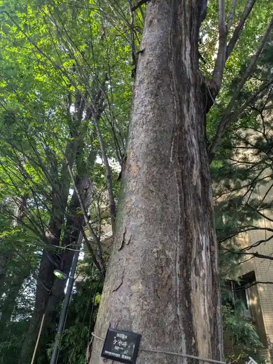 亀有香取神社(東京都)