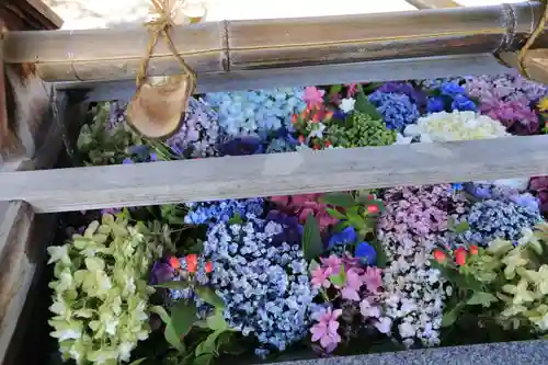 豊景神社の手水