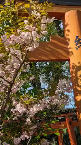 平野神社(京都府)