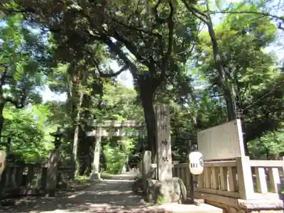 赤坂氷川神社(東京都)