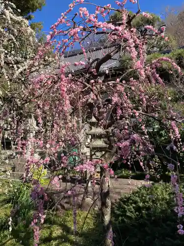 常立寺の庭園