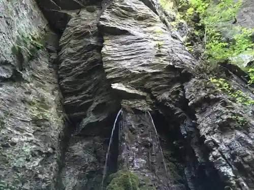 御嶽神社(王滝口）里宮の自然