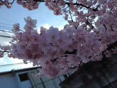 龍王院(東京都)