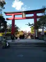 亀戸天神社の鳥居