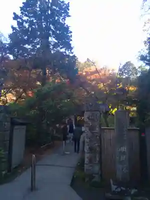 明月院(神奈川県)