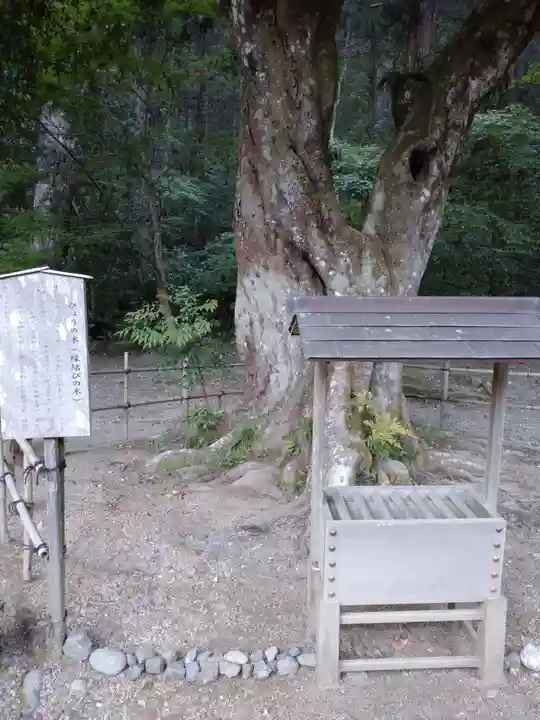 小國神社の庭園