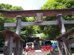 高尾山麓氷川神社の鳥居