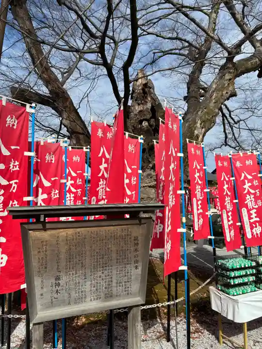 秩父今宮神社(埼玉県)