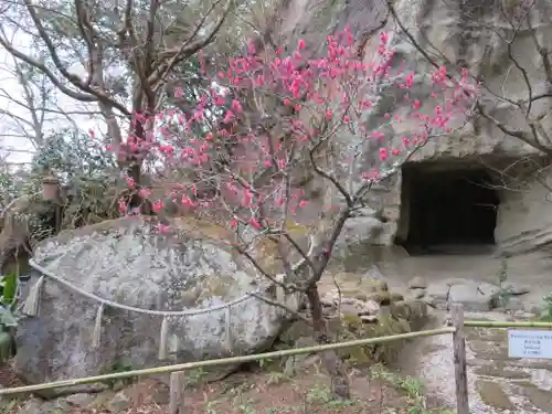 明月院のその他建物