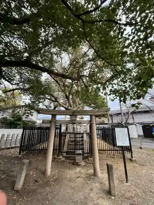 泉穴師神社(大阪府)