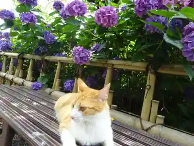 真野寺のその他建物