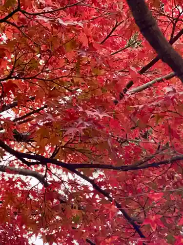 月橋院(京都府)