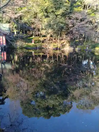 富士山本宮浅間大社(静岡県)