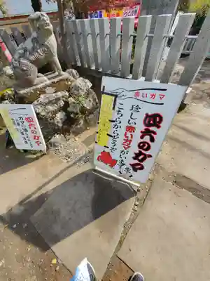 筑波山神社(茨城県)