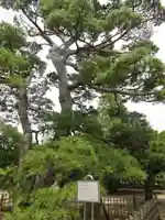 滑河山龍正院のその他建物
