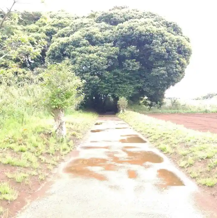 大宮神社のその他建物