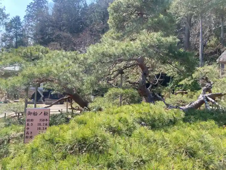 常楽寺の{uncategorized: "未分類", other: "その他", undefined: "問題あり", building: "その他建物", grave: "お墓", sacred_gate: "鳥居", guardian: "狛犬", statue: "像", buddha: "仏像", history: "歴史", nature: "自然", garden: "庭園", animal: "動物", pagoda: "塔", temizu: "手水舎", mountain_gate: "山門・神門", sanctuary: "本殿・本堂", subordinate: "末社・摂社", art: "芸術", scenery: "景色", jizo: "地蔵", ema: "絵馬", goshuin: "御朱印", omikuji: "おみくじ", items: "授与品その他", amulet: "お守り", goshuincho: "御朱印帳", eats: "食事", festival: "お祭り", votive_dance: "神楽", shichigosan: "七五三参", wedding: "結婚式", experience: "体験その他", initially: "初詣", around: "周辺", anti_infection: "感染症対策"}