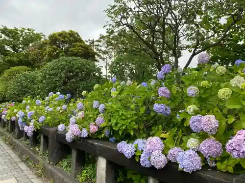 待乳山聖天（本龍院）(東京都)