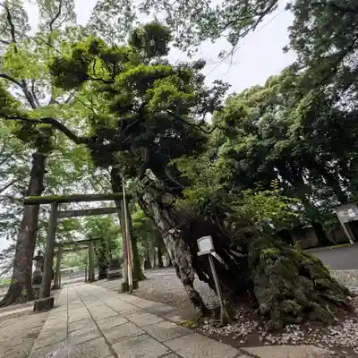 一言主神社(茨城県)