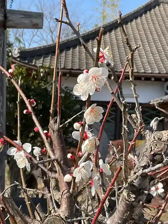 養徳寺(茨城県)
