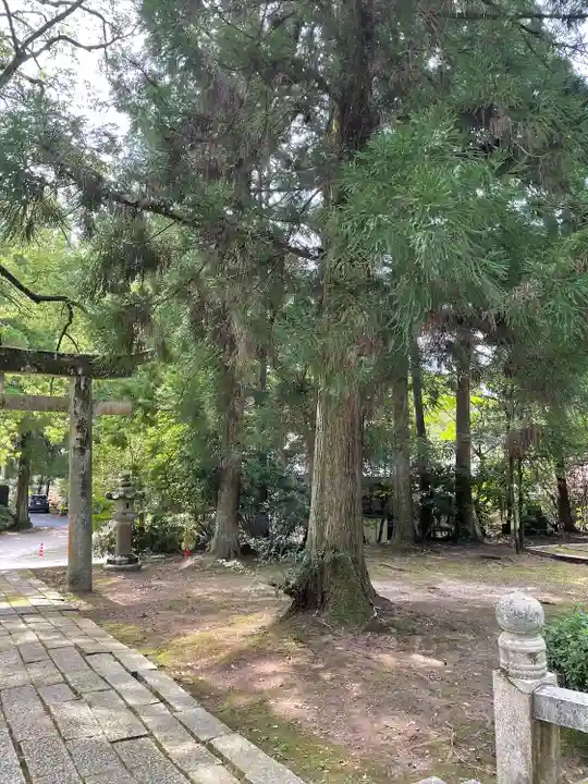 豊栄神社(山口県)