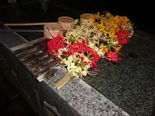 横浜　西方寺の手水舎