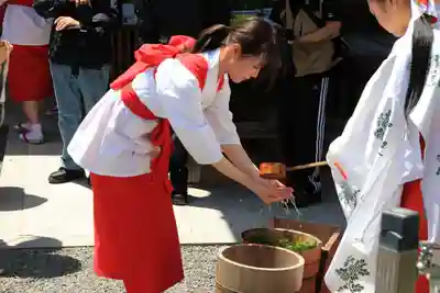 高屋敷稲荷神社のお祭り
